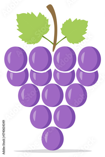 Stylized purple grape bunch with green leaves illustration, healthy vegetarian fruit snack, vineyard harvest