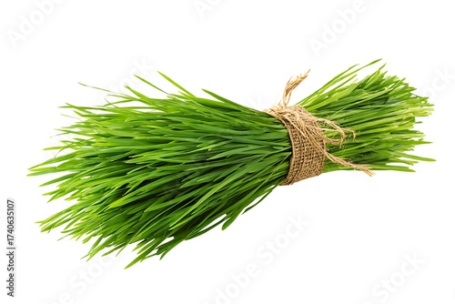 Fresh vibrant green wheatgrass bundle tied with rustic twine, perfect for health-focused content and natural wellness visuals