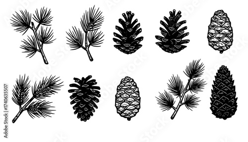 Pine Cones And Branches Linocut Print Style Icons Set On White Winter Forest Branches Nature Icons Carved Symbols Nature Prints Woodland Elements Bold Print Illustrations