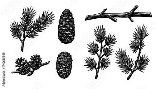 Pine Cones And Branches Linocut Print Style Icons Set On White Winter Forest Branches Nature Icons Carved Symbols Nature Prints Woodland Elements Bold Print Illustrations