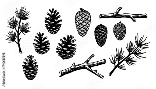 Pine Cones And Branches Linocut Print Style Icons Set On White Winter Forest Branches Nature Icons Carved Symbols Nature Prints Woodland Elements Bold Print Illustrations