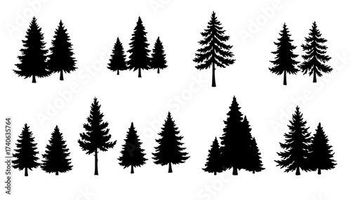 Set of vintage fir tree and coniferous forest silhouette. Mountain forest nature or seamless botanical background. Winter pine or christmas tree garden landscape. Social media decoration clip art icon