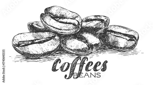 Sketched illustration of coffee beans with the text 'Coffee Beans' below on white background