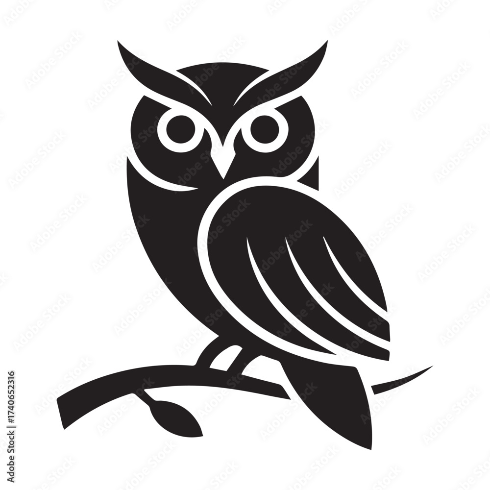 Fototapeta premium owl on white background
