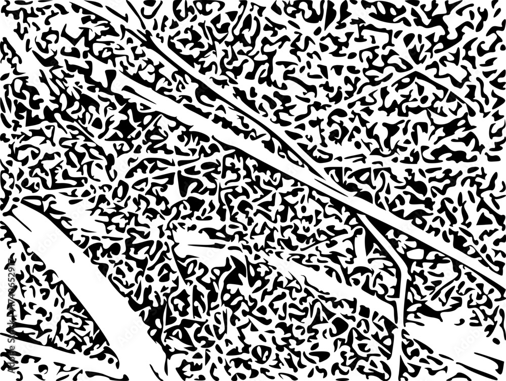 Obraz premium black and white background