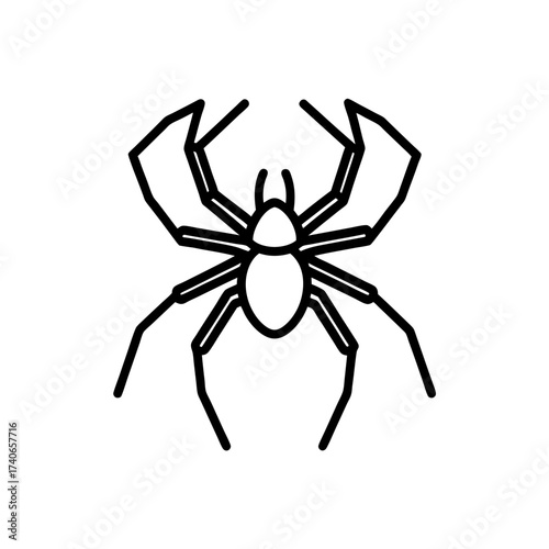 Simple outline drawing of a spider on transparent background