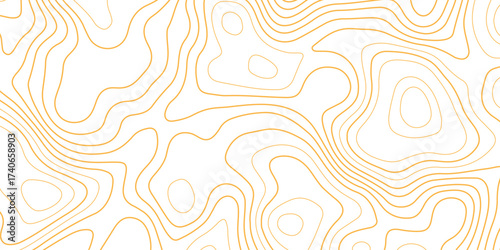 Topographic map background with geographic grid for hiking and mountain sport. luxury topographic wavy pattern and geographic grid map design. paper texture Imitation of a geographical map shade.