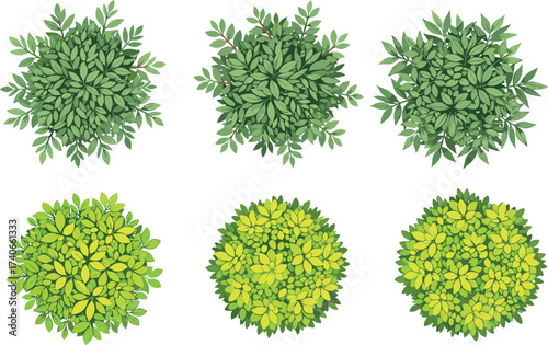 Top view green bushes, garden shrubs, landscape plants, foliage texture, natural greenery, decorative plants, outdoor design, botanical illustration, nature background, vegetation