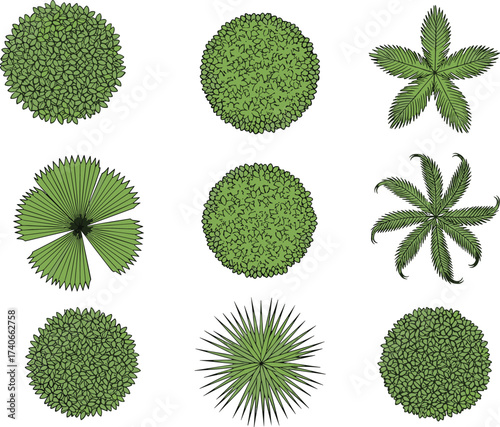 Top view plants, aerial trees, foliage icons, landscape vegetation, garden bushes, palm fronds, nature symbols, eco design, greenery illustration, park elements