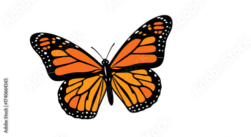 Monarch Butterfly's Orange Wings: A beautiful monarch butterfly, showcases intricate patterns, with vibrant orange wings elegantly displayed against a clear backdrop.
