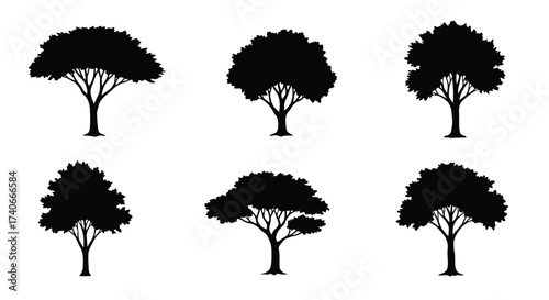 A collection of six silhouetted trees against a plain white background