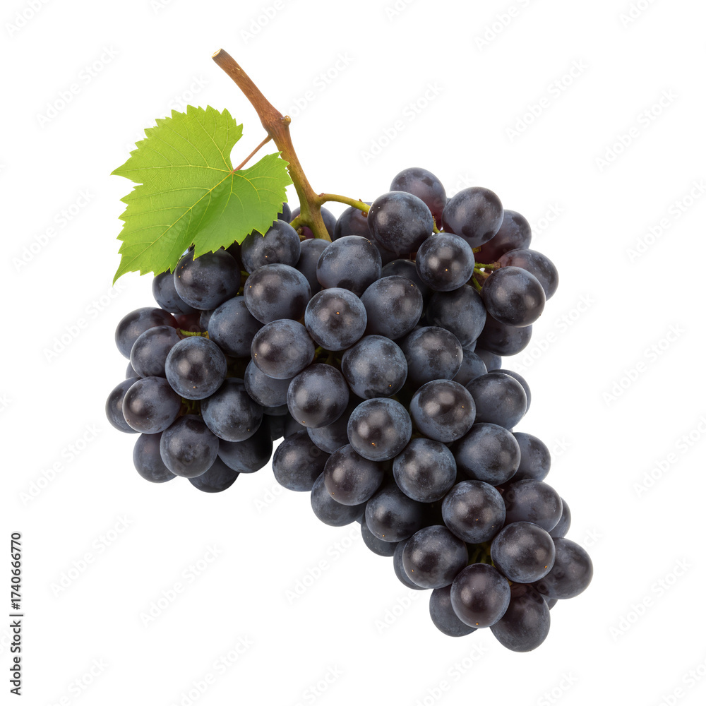 Fototapeta premium Luscious black grapes cluster presenting an exquisite fruit harmony on clean backdrop
