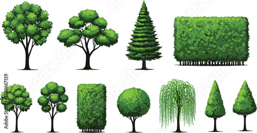 Various tree illustrations, deciduous and coniferous, green foliage, shrubs and hedges, botanical design, 