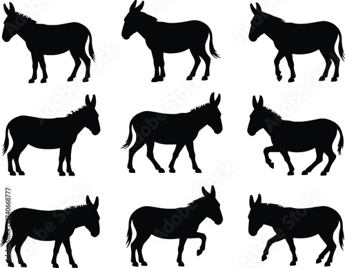 Collection of diverse silhouette donkey poses agricultural farm animal icons