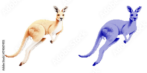 Dynamic Vector Illustration of a Stylized Kangaroo in Two Color Variants