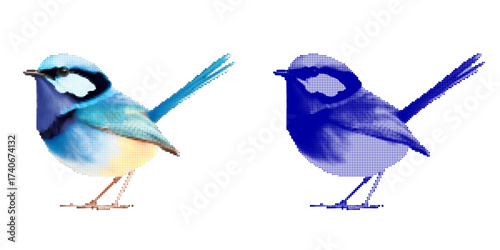 Vector and Illustration of Two Colorful Birds in Dotted Style Art Design
