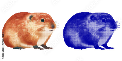 Colorful Vector Illustration of Two Distinctive Hamsters in Unique Styles