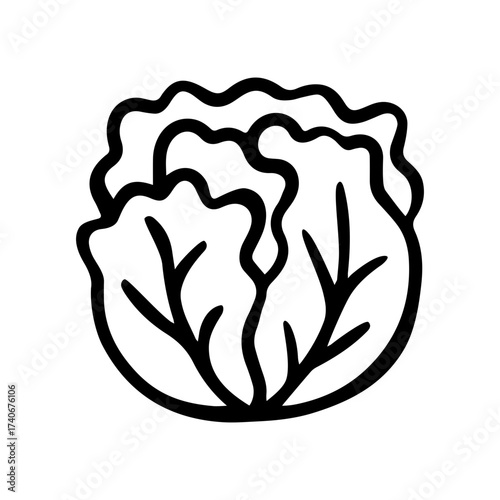 Cabbage doodle vector icon