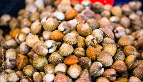Large Pile of Fresh Cockles at a Seafood Market