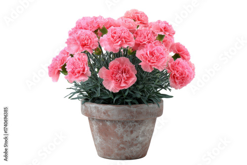 Wallpaper Mural Pink Carnation Bouquet in Rustic Pot on Transparent Background Torontodigital.ca
