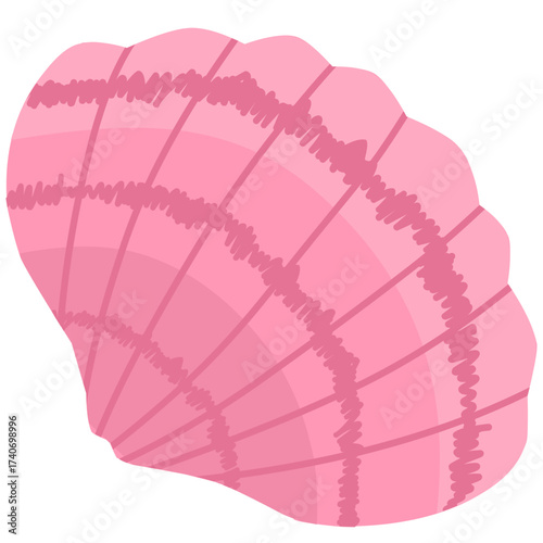 Pink seashell illustration with textured details