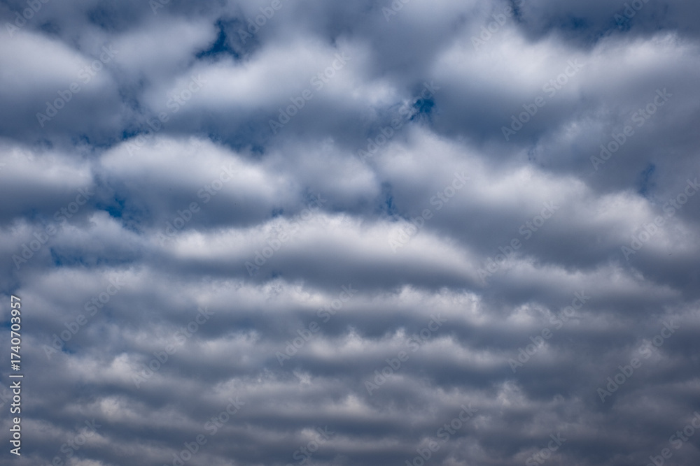 Obraz premium dramatic sky and gray clouds before the storm. Stratocumulus.