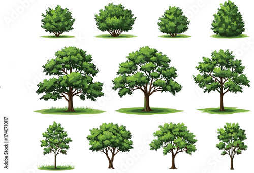 Collection of twelve green trees illustration, diverse foliage density and shapes, natural landscape design elements, eco-friendly botanical artwork, educational resource
