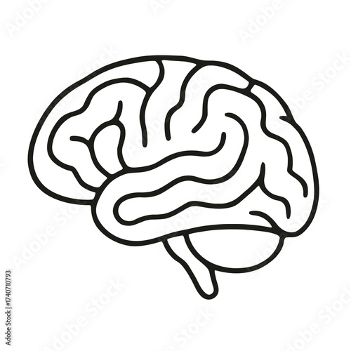 Simple line illustration of a human brain symbolizing intelligence, memory, psychology, and neuroscience.