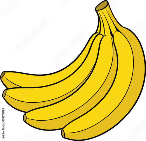 Vector illustration of a yellow banana bunch with natural curve isolated scalable eps isolated on transparent background
