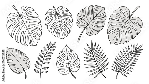 Black and White Tropical Leaves Sketch Vector for Minimalist Design
