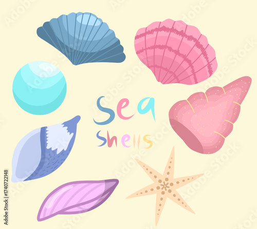 Colorful Seashells and Starfish Illustration
