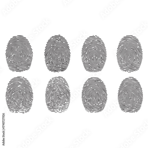 Fingerprint Patterns Illustration Security Identification Vector Graphic Concept