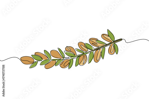 Continuous one line drawing Argania seeds lined up on branches with leaves. Plant preparations that can moisturize the skin. International Day of Argania. Single line draw design vector illustration