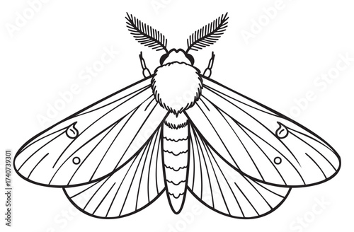 Black outline vector illustration of a moth with detailed wings and feather-like antennae, showcasing intricate line patterns and textures.