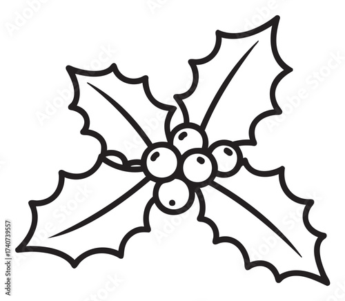 Black outline drawing of a holly plant with three pointed leaves and berries, often associated with christmas and festive decorations.