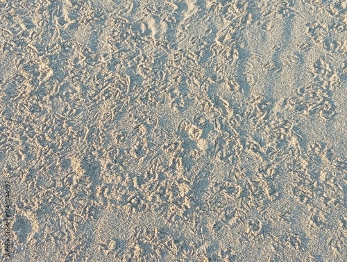 Tracks on sand