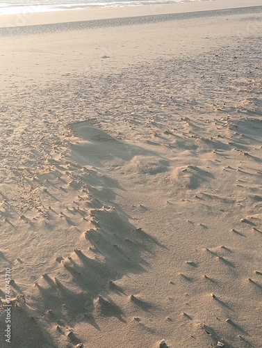 Broken shells on the beach