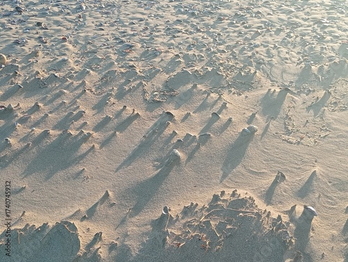  thousands of broken shells in the sand