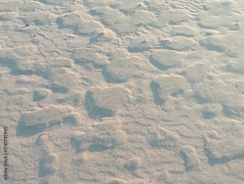  patterns in the damp sand 