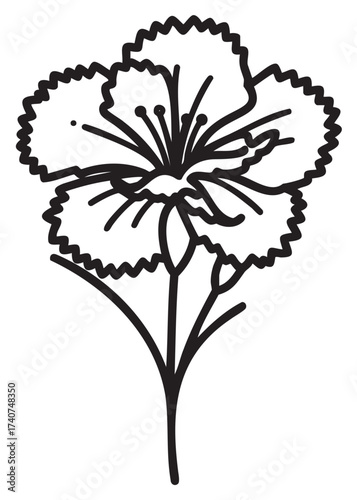 Black outline of a detailed flower with distinct petals and stamen, depicting the natural beauty and complexity of floral structures.