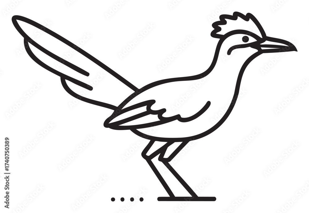 Fototapeta premium Black outline drawing of a cartoon roadrunner standing with its characteristic long tail and crest feathers.