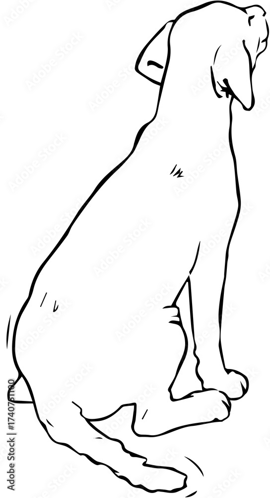 Obraz premium DOG SITTING BACK VIEW