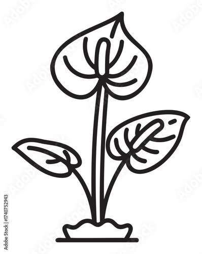 Black outline vector icon of anthurium plant with large heart-shaped leaves and a prominent spadix, ideal for botanical and floral themes.