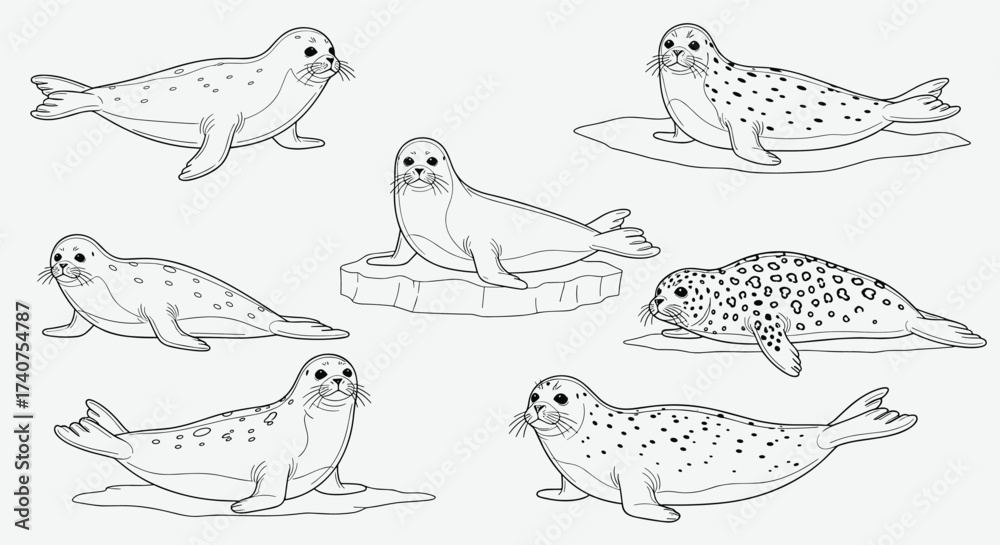 Obraz premium An illustration of several distinct seals in various resting positions on ice.