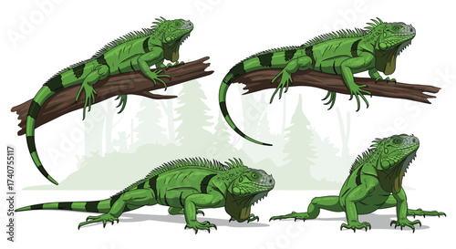 Four vibrant green iguanas are displayed in various poses on a forest background.