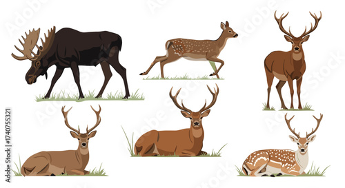A collection of majestic deer and a moose in various poses.