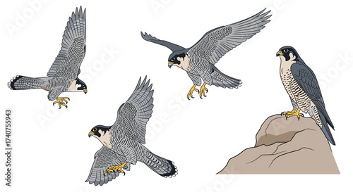 Illustrations of a peregrine falcon in various flight and perched positions captured with pixel art style.