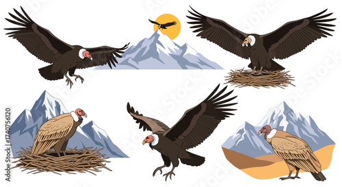 Majestic condors soaring and nesting in the rugged mountain landscapes at sunrise.