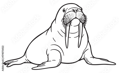 Black outline drawing of a walrus with long tusks and whiskers sitting upright.
