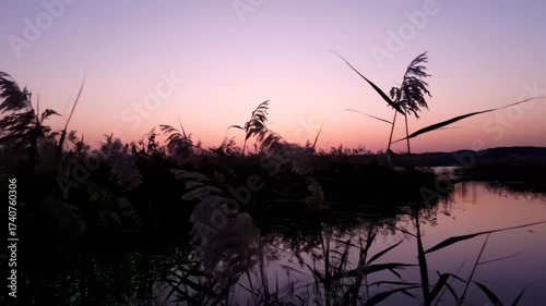 Peaceful Twilight Reflection on Water with Silhouetted Reeds
